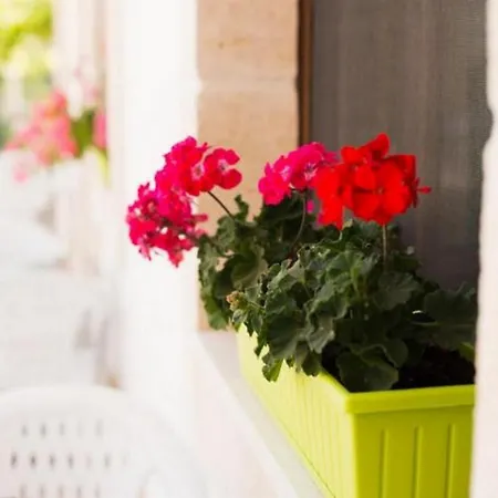 Masseria D'impisa Holiday home Fasano